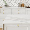 Home Expert 30 Pack Cabinet Knobs Gold Kitchen Cabinet Knobs