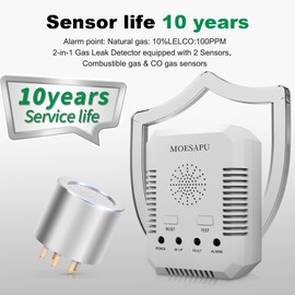 2-in-1 Carbon Monoxide Gas Leak Detector with Cord, Plug-in Wall Combination Meter for Propane CO in Home, Audible Alarm Safety for Explosive Methane Ethane Butane LP Gas, BH-H3