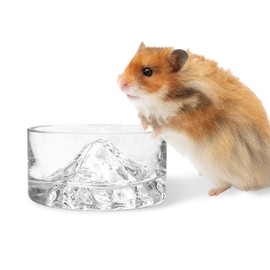 BNOSDM Hamster Food and Water Bowl Mountain Fuji Style Glass Drinking Dwarf Hamster Feeder Anti-Turning Dish for Syrian Hamsters Gerbils Mice Rats or Other Similar-Sized Pets (Transparent)
