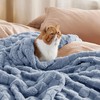 Bedsure Fleece Throw Blanket for Sofa - Soft Checkered Single