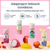 Juni Sparkling Adaptogen Drink with Ashwagandha, Lion’s Mane & Reishi