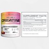 Cellucor Cellucor Creatine Powder, Fruit Punch Flavor - Increases Strength,