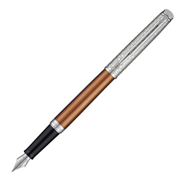 Waterman Fountain Pen, F, Fine Point, Metropolitan Private Collection, Bronze