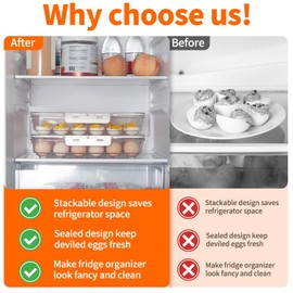 MesRosa 2 Pack Deviled Egg Containers with Lid and Handle, Durable Clear Plastic Deviled Egg Carrier Storage 48 Eggs, Stackable Egg Holder for Fridge, Portable Tray Platter for Party & Picnics-White