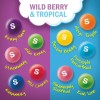 Skittles Mashups Wild Berry & Tropical 7.2oz - 1
