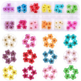 1 Box Dried Flowers for Nail Art, EVERMARKET 12 Colors Dry Flowers Mini Real Natural Flowers Nail Art Supplies 3D Applique Nail Decoration Sticker for Tips Manicure Decor (Daffodils Flowers)