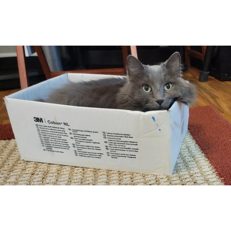 Kobalt 14" Extremely NICE!! Aluminum Pipe Wrench Model #0464648