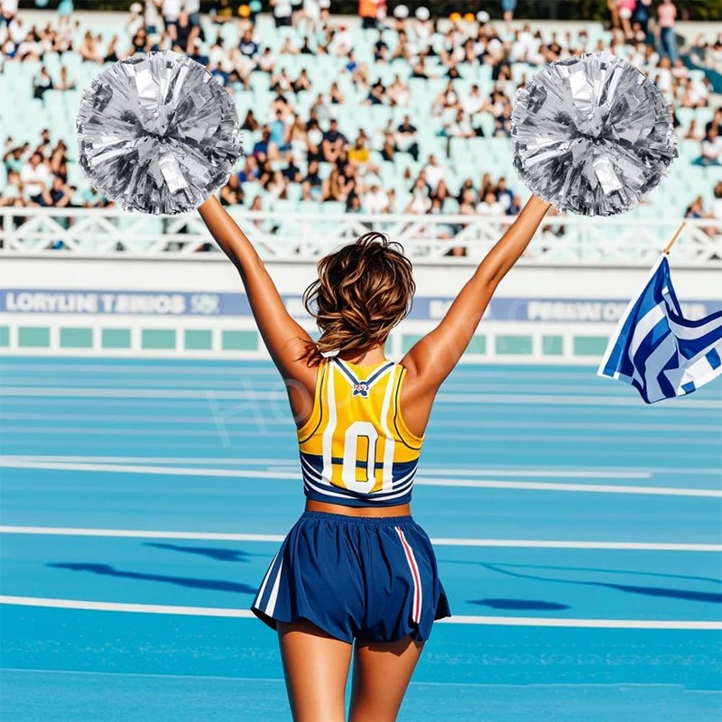 Hooshing 4PCS Silver Pom Poms Cheerleading with Handle Cheer Pom