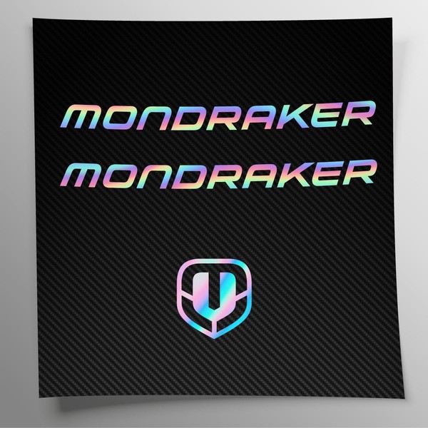 Sticker Set Compatible with Frame MTB Mountain Bike and Holographic