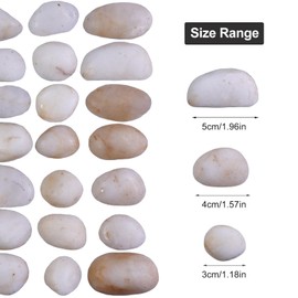 Lechloris 20Ib Cream White River Rock- Decorative Pebbles for Plants - River Rocks for Outdoor Landscaping- 0.3"-0.8" inch High Polished Stones for Aquarium, Terrarium,Vases, Home Decor