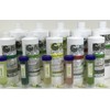 Algae Research Supply Algae Culture Thalassiosira pseudonana, Perfect for School