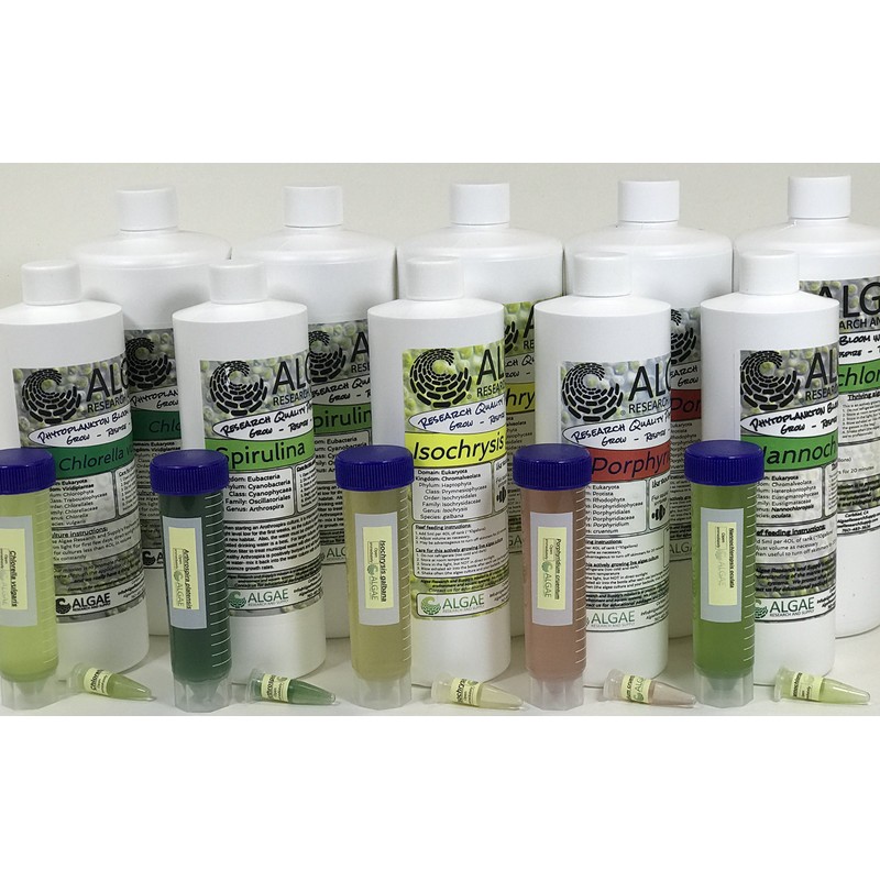 Algae Research Supply Algae Culture Thalassiosira pseudonana, Perfect for School