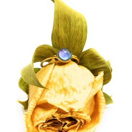 Ello Elli Minimalist Style Stainless Steel Mood Ring (Gold, 6)