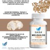 SAISA HERBAL Melena de León,120 Cápsulas Memoria, Concentración, Bienestar Cognitivo