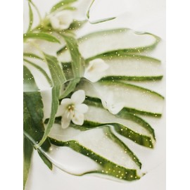 Pore ​​Lifting Ampoule 50ml / 포어 리프팅 앰플 50ml