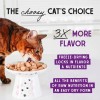 Stella & Chewy's Freeze-Dried Raw Cat Dinner Morsels - Salmon