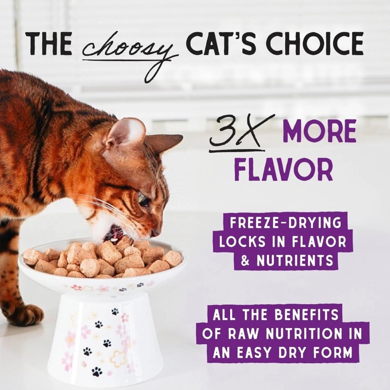 Stella & Chewy's Freeze-Dried Raw Cat Dinner Morsels - Salmon