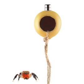 NANEEZOO Spider Hide Magnetic Jumping Spider Habitat Made of Natural Gourd, Handmade Insect Hideout Enclosure Accessories, Cute Decoration for Terrarium Cage
