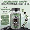 3-in-1 Himalaya Shilajit Gummies 1400 mg Per Serving, with Chaga