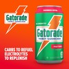 Gatorade Thirst Quencher, Fruit Punch, 12 Fl Oz Cans (Pack