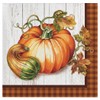 Creative Converting Party Creations Paper Napkin, Harvest Plenty