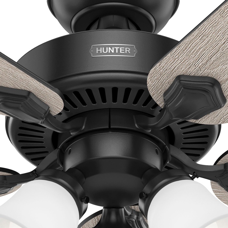 Hunter Fan Company 51737 Swanson Ceiling Fan, Matte Black