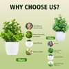 SMART DIRECT 4 Pack Small Fake Plants Mini Artificial Plants