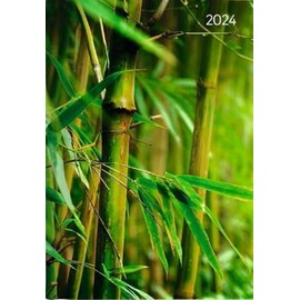 Book Calendar Style Zen 2024 - Office Calendar A5 - Executive Timer - 1 Day 1 Page - 352 Pages - Mindfulness - Alpha Edition