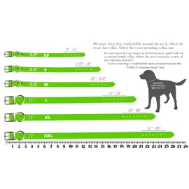 Handmade Spiked Bridle Leather Dog Collar, Gold Tone Hardware and Solid Brass Nameplate (Blush Pink)