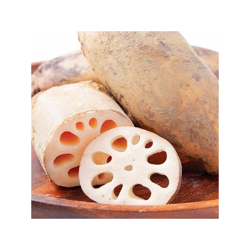 The Jo Eun Fresh Domestic Lotus Root (Medium) 1kg /