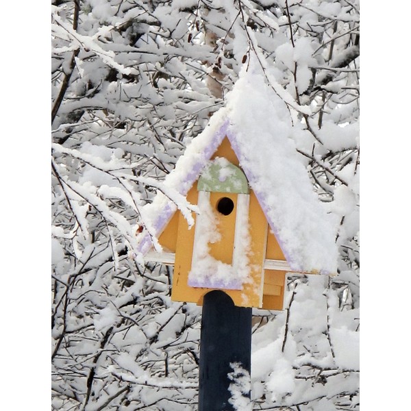 "Birdhouse on a Snowy Tree" Greeting Card - Winter Scene