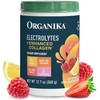 Organika Electrolitos con Colágeno con Prebióticos Limón y Bayas 360