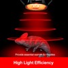 REPTI ZOO G9 Reptile Infrared Heat Lamp Combo Kit- 50W
