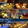 ASOMST 2-Pack Garden Solar Lights Outdoor, Cracked Glass Ball Light