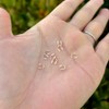 50pcs Adabele Real 1/20 14K Gold Filled Wire Guard Thread