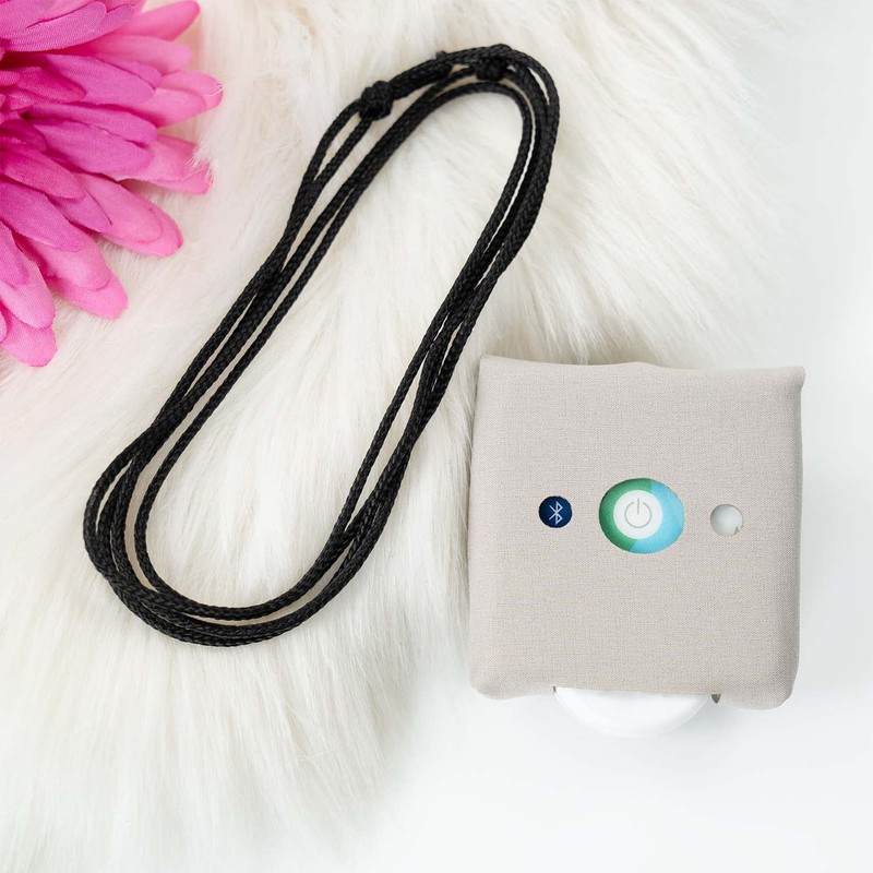 lemala Premium Protective Softshell Case for HEALY (Beige)