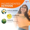 Energy Boost | Camellia sinensis, L-Carnitina, Fucoidan, Triptófano, Colágeno +