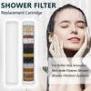 AWO 4 PACK Replacement Showe Filter Cartridge Compatible for PWERAN
