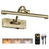 Tassuowell Wireless Picture Lights for Wall,12 Inch Battery Operated Picture