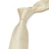 HISDERN Men's Wedding Ties and Pocket Square, Paisley Tie Set,