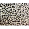 Awesome Industries Shrimp Tourmaline Balls with Calcium & Over 30