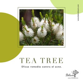 Suero Antiarrugas Rosa Mosqueta y Crema de Aguacate Neem