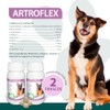RUILAND Artoflex Combo Doble Suplemento para Perros 2 Packs 60