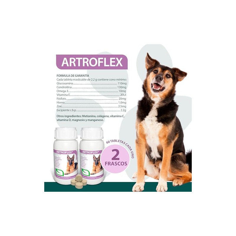 RUILAND Artoflex Combo Doble Suplemento para Perros 2 Packs 60
