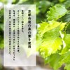Kyono Kowori Legend (Mulberry Leaf Powder Tea, Green Soup) 30