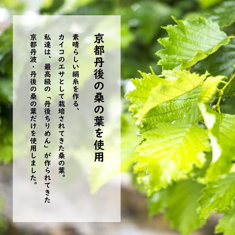 Kyono Kowori Legend (Mulberry Leaf Powder Tea, Green Soup) 30