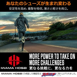 IWAMA HOSEI AIR FLEXI Insole, Sports, Shock Absorption, For Men 10.0 - 11.2 inches (25.5 - 28.5 cm), Racing Type