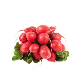 Radish Seeds, 500+ Cherry Belle, Heirloom, Non-GMO Seeds, Raphanus sativus.