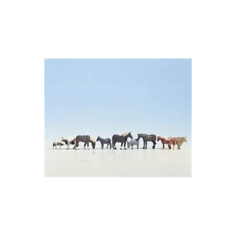 Noch 15713 Farm Animals Landscape Modelling