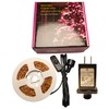 RUICHEN Plug in Fairy String Lights with Switch, Waterproof 33